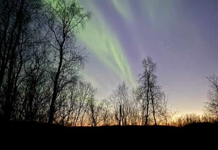 Aurora over a dark Nordic tree line used as Rovaniemi aurora planning context